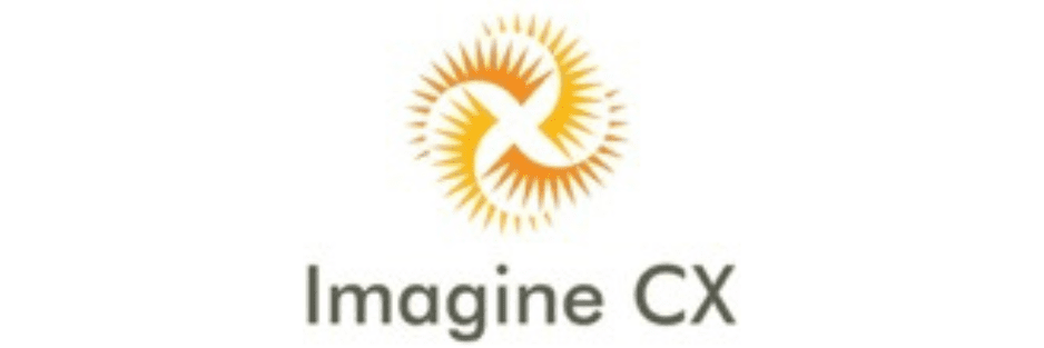 IMAGINE GX LOGO