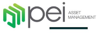 paruqe arauco logo
